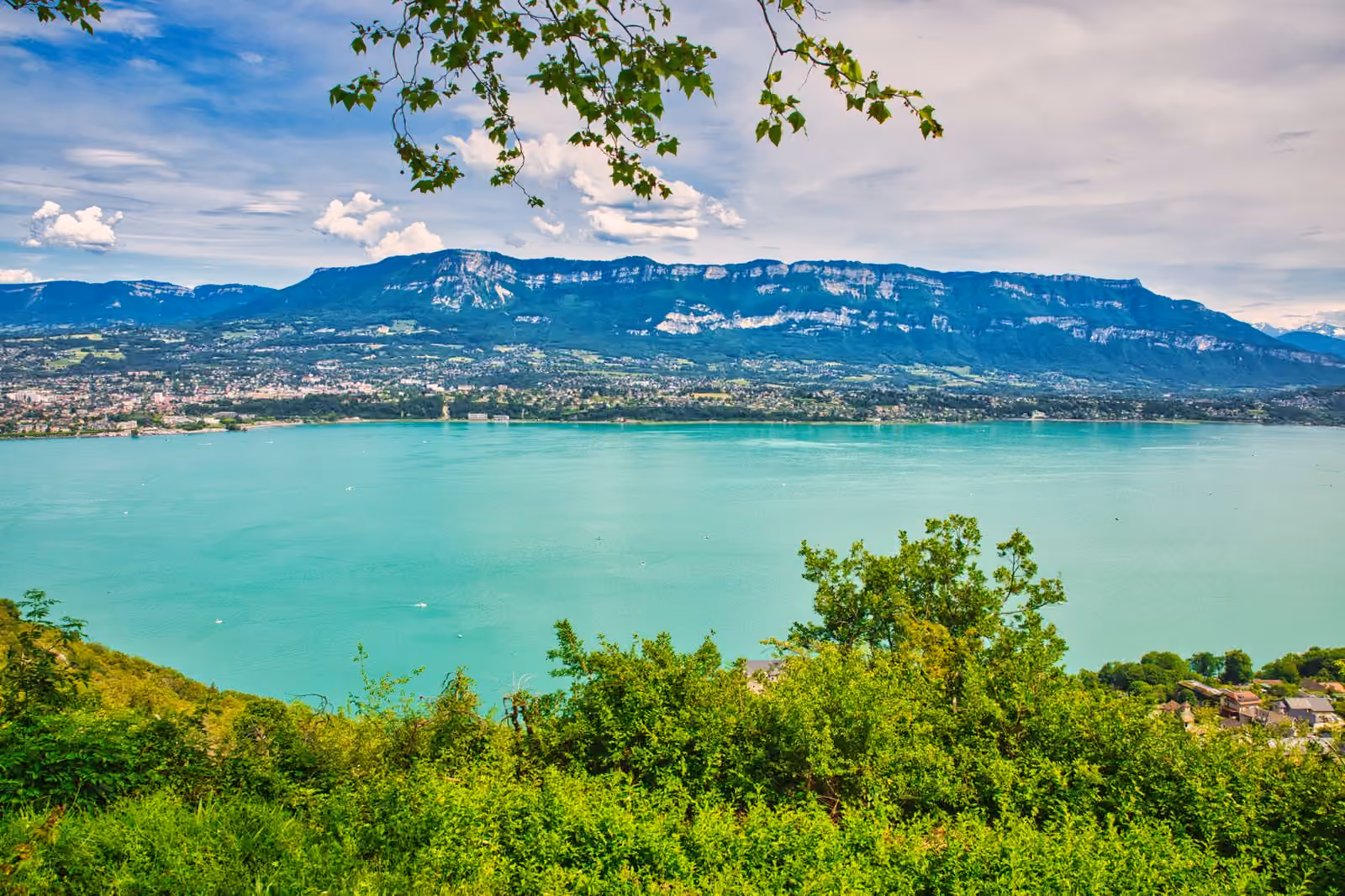 Le lac du Bourget entre les versants boisés des Alpes françaises.